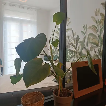 Atypique T3 Avec Terrasse Apartment Perpignan
